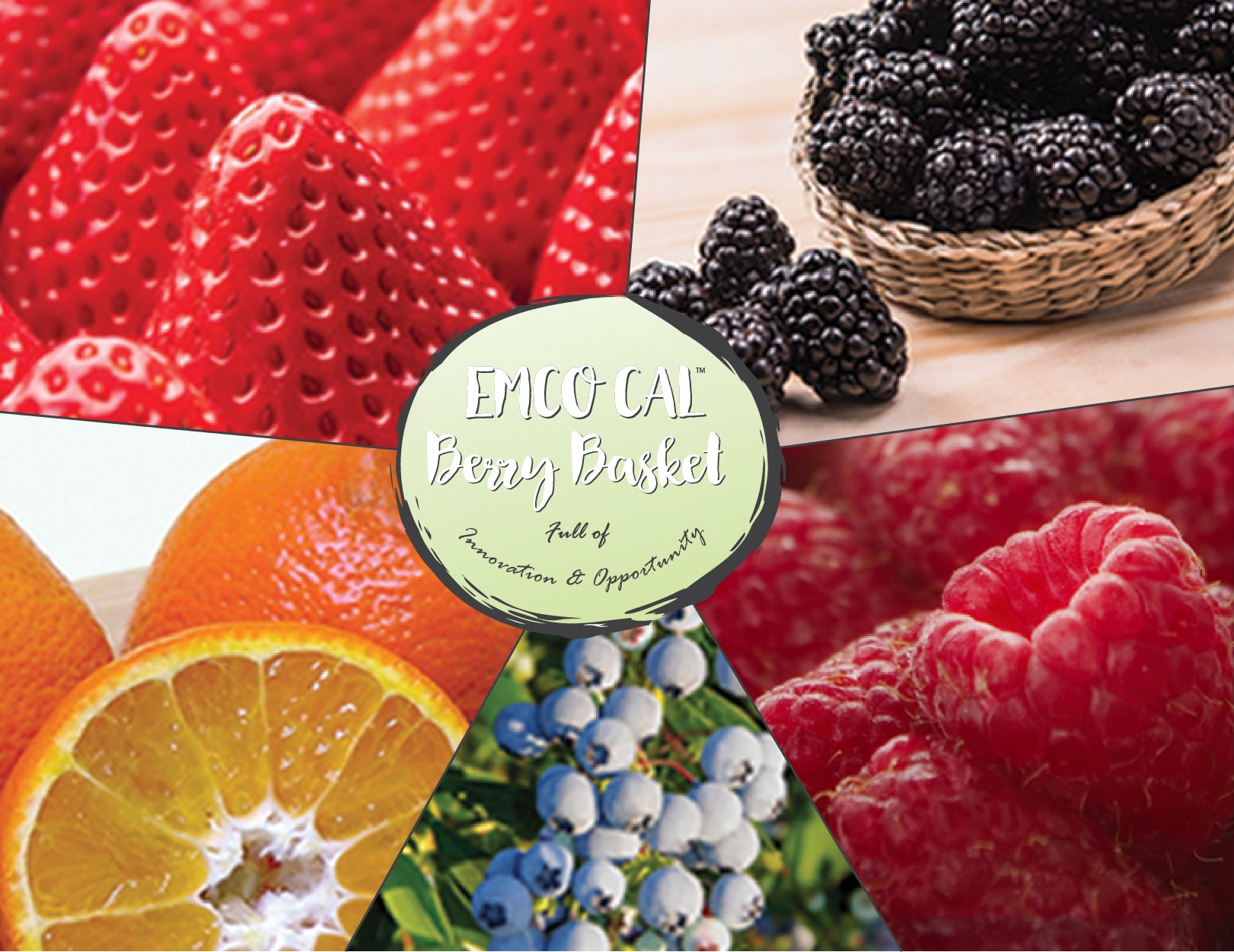 Define Calpac All Plants – CalPac Berry Plants