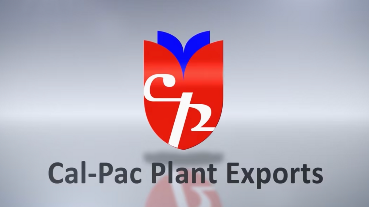 Define Calpac Growing Tips - Strawberries – CalPac Berry Plants